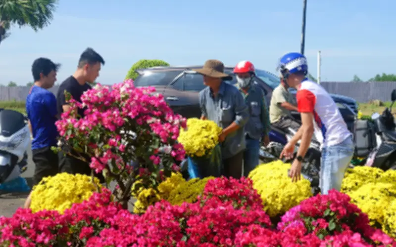 Người dân An Giang đổ xô mua hoa Tết giảm giá 50% ngày 29 Tết