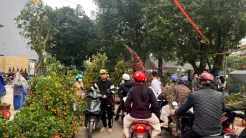 Người dân Hà Nội rộn ràng sắm đào, quất Tết tại đường hoa Lạc Long Quân