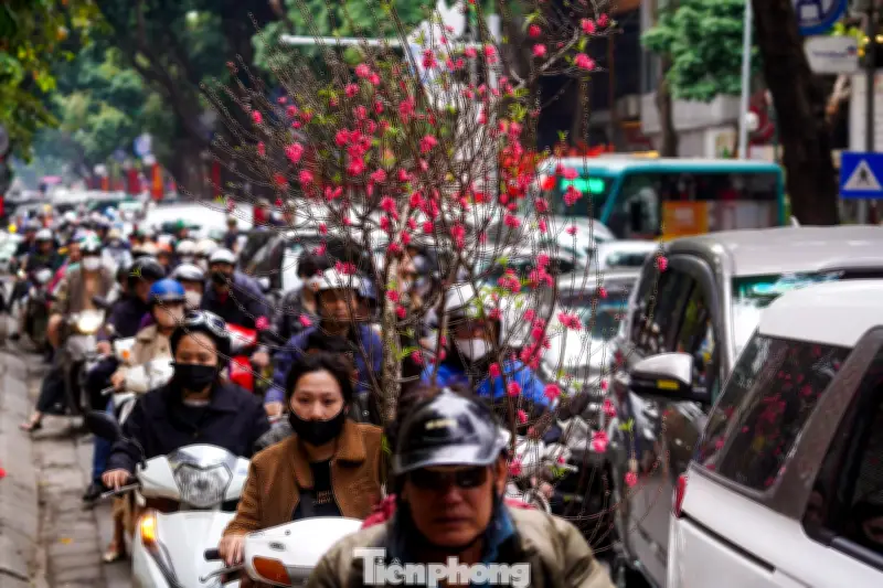 Người dân Hà Nội rạng rỡ chở đào, quà Tết về quê sau ngày làm việc cuối năm