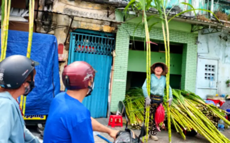 Người dân TP.HCM đổ xô mua mía vàng cúng vía Ngọc Hoàng, giá từ 70.000 đồng/cặp