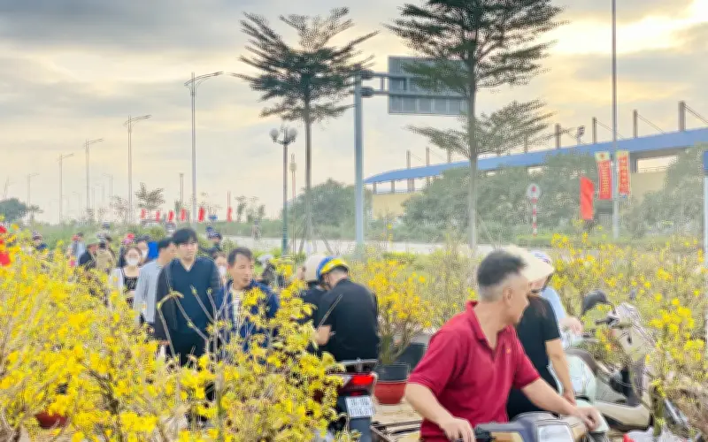 Người dân tất bật mua sắm hàng hóa, cây hoa cảnh trong ngày 29 Tết