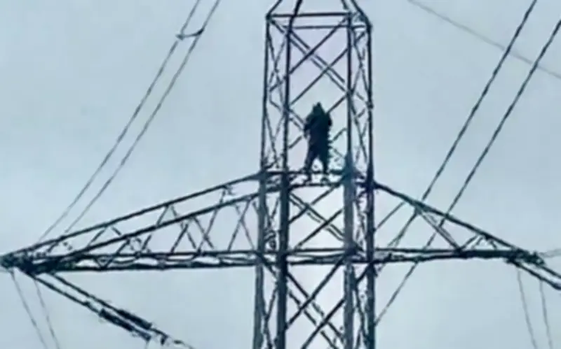 Người đàn ông leo cột điện cao thế ở Anh gây mất điện, bị bắt giữ