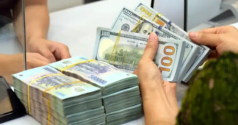 Ngân hàng Nhà nước điều chỉnh tỷ giá trung tâm, thị trường ngoại tệ biến động sau kỳ nghỉ lễ
