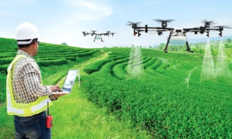 Ngành Nông Nghiệp Vươn Mình: Lương CEO Lên Đến Hơn Nửa Tỷ Đồng Mỗi Tháng