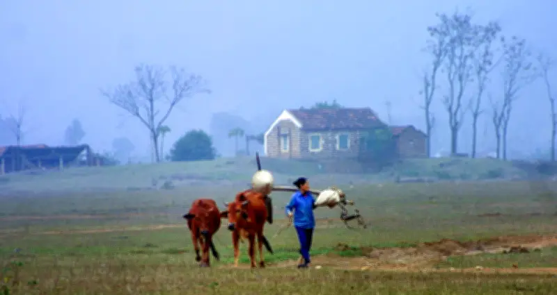 Nguyên Quán: Nơi Gốc Rễ Thiêng Liêng Và Hành Trình Tìm Về Cội Nguồn