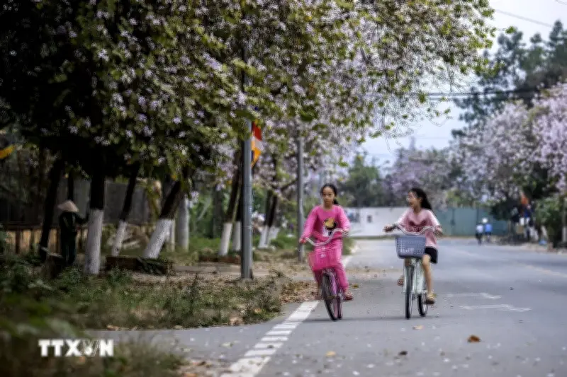 Ngày 13, nhiệt độ Bắc Bộ tăng cao, có nơi trên 33 độ C, xuất hiện mưa dông