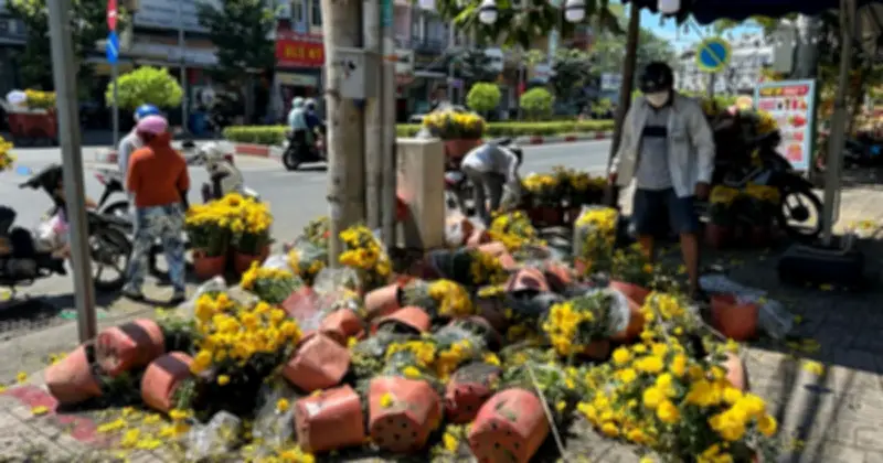 Ngày 29 Tết, chợ hoa TP.HCM sôi động với giá 'mềm', tiểu thương không đập bỏ hoa ế