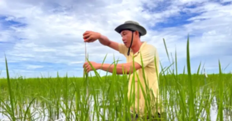 Nhà khoa học Lê Thanh Phong: Từ nhà nông đến danh hiệu 'Nhà khoa học của nhà nông 2025'