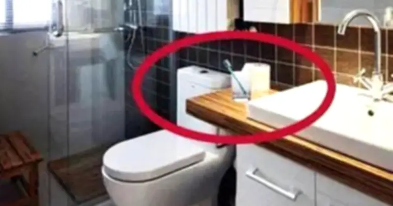 Nhà Vệ Sinh Ẩm Ướt: 4 Vật Dụng Tưởng Tiện Lợi Nhưng Lại Là Ổ Vi Khuẩn Cần Tránh