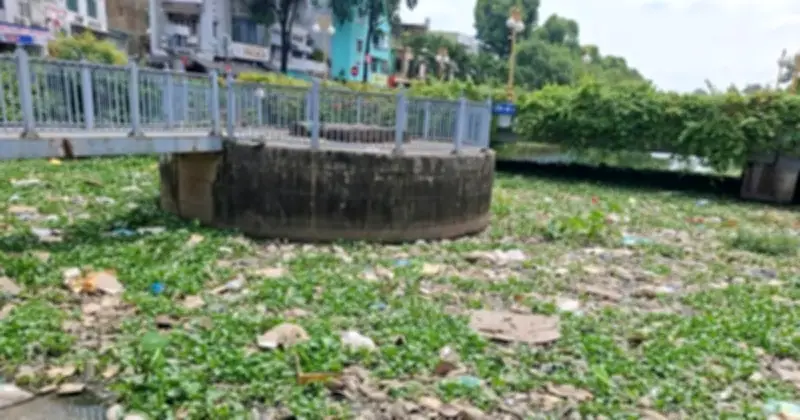 Ô nhiễm nghiêm trọng tại kênh Nhiêu Lộc - Thị Nghè, TP.HCM: Rác thải và lục bình tràn ngập