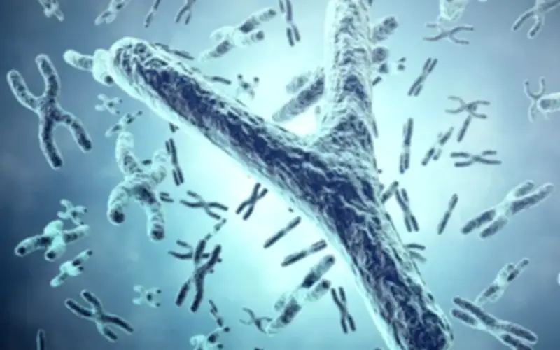 Nhiễm sắc thể Y biến mất ở nam giới lớn tuổi: Dấu hiệu cảnh báo bệnh lý nguy hiểm