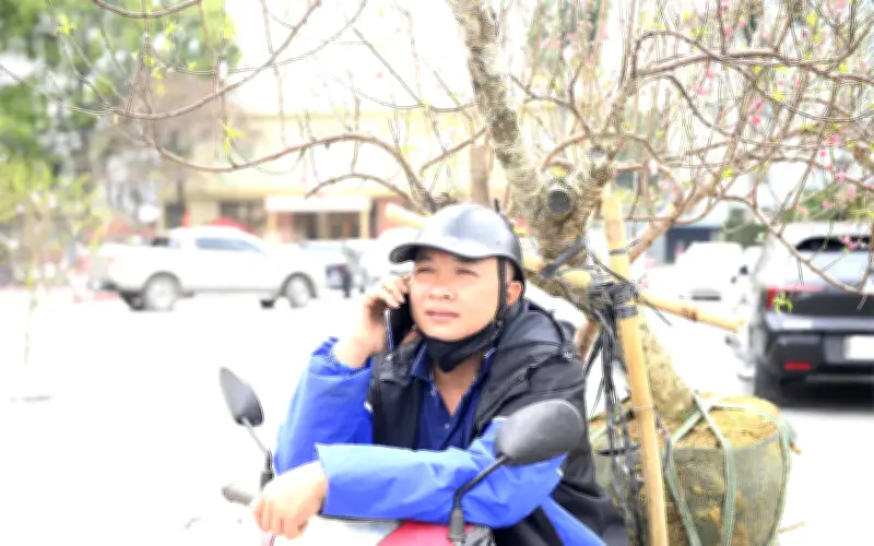 Những Chuyến Xe Chở Mùa Xuân: Nông Dân Thanh Hóa Rong Ruổi Bán Đào Tết