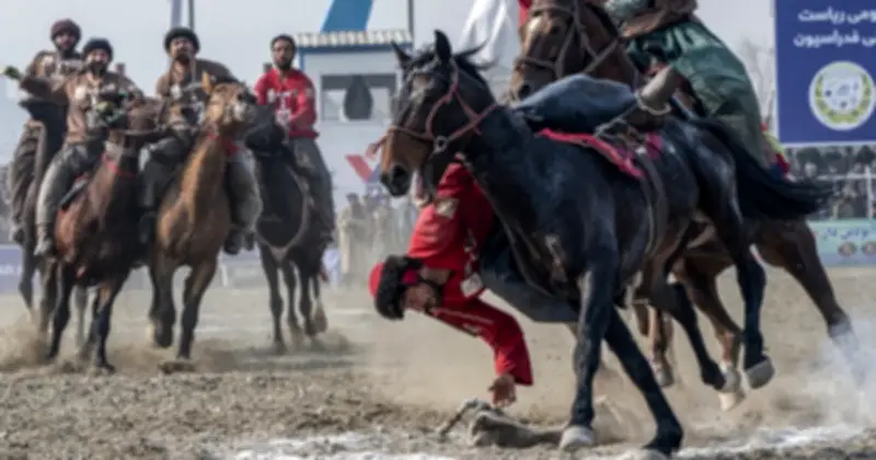 Những Cuộc Thi Ngựa Kỳ Lạ Nhất Thế Giới: Từ Buzkashi Đến Cưỡi Ngựa Giả