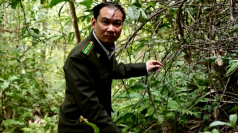 Những Người Gác Rừng Đón Xuân: Sự Hy Lặng Lẽ Giữa Màu Xanh Thái Nguyên