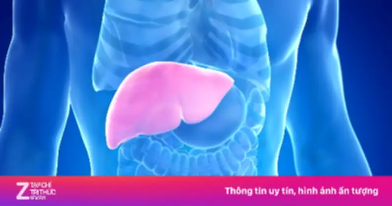 Những Thực Phẩm Giúp Gan Phục Hồi Tự Nhiên Sau Tiệc Tùng