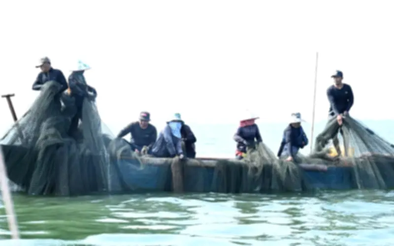 Nhịp sống mưu sinh rộn ràng trên Hồ Trị An những ngày cận Tết Nguyên đán