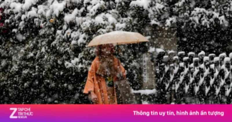 Nhật Bản, Hàn Quốc hứng chịu mưa tuyết kỷ lục 40 năm, ảnh hưởng bầu cử giữa mùa đông