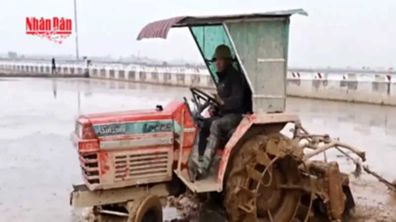 Nông dân Hà Nội khẩn trương xuống đồng sau Tết, đảm bảo tiến độ vụ xuân