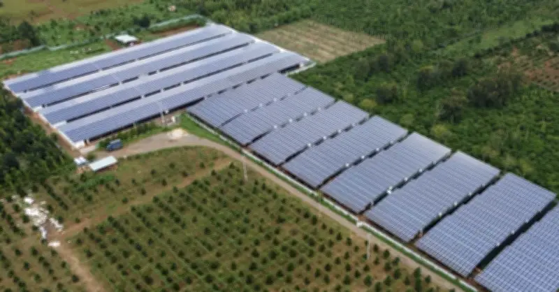 Nông Dân Đắk Lắk Kể Chuyện Thu Tiền Tỷ Từ Điện Mặt Trời Mái Nhà