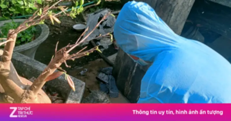 Đà Nẵng Ghi Nhận 6 Ca Bị Chó Dại Cắn Trong Dịp Tết Nguyên Đán 2026