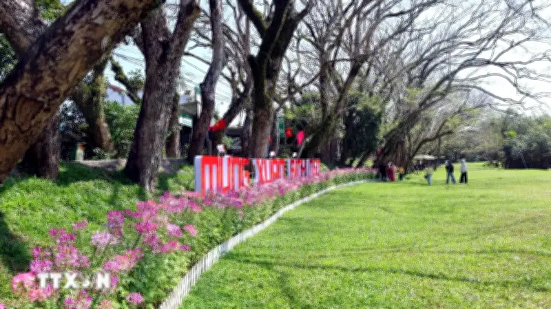 Đà Nẵng: Làng sinh thái hương trà - điểm dã ngoại xuân gần gũi thiên nhiên