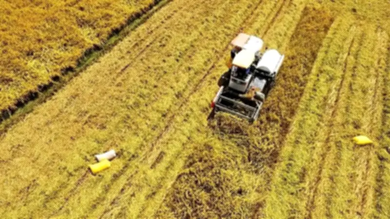 Nông nghiệp Việt khởi sắc đầu năm 2026: Chuyển dịch chất lượng, số hóa chuỗi giá trị