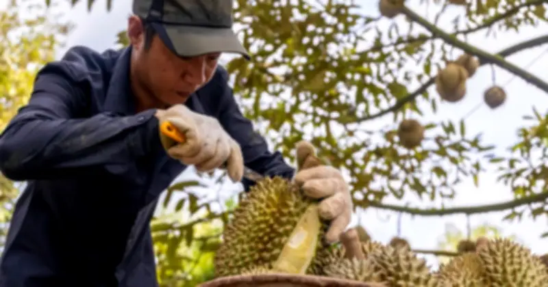 Nông nghiệp Việt Nam: Bước nhảy vọt lịch sử với 70 tỷ USD xuất khẩu năm 2025