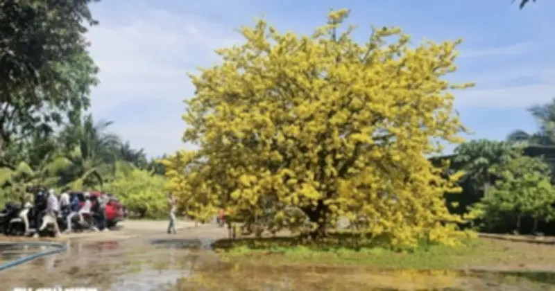 Nắng nóng gay gắt tại TP.HCM và Nam Bộ, nhiệt độ vượt 36 độ C