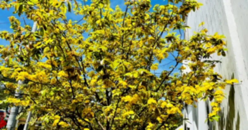 Nắng nóng gay gắt tiếp diễn tại TP.HCM và Nam bộ, đề phòng triều cường cao