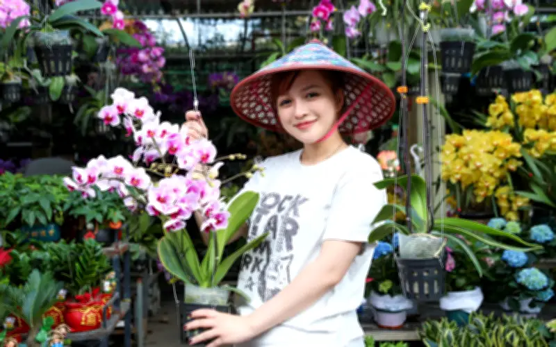 Đà Nẵng rộn ràng không khí mua bán hoa Tết trên các tuyến phố chuyên kinh doanh