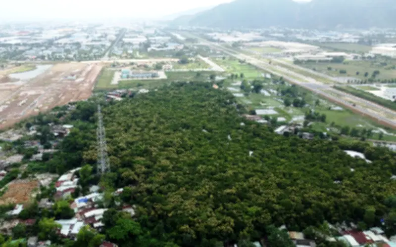 Đà Nẵng: Rừng Trung Sơn chờ công nhận di tích giữa lòng đô thị