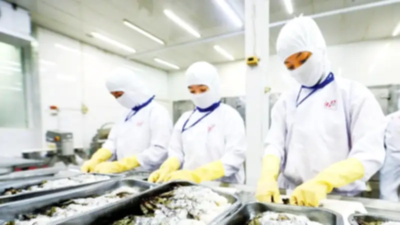 Nông Sản Việt Đối Mặt Thách Thức Từ Quy Định SPS Siết Chặt Trên Toàn Cầu