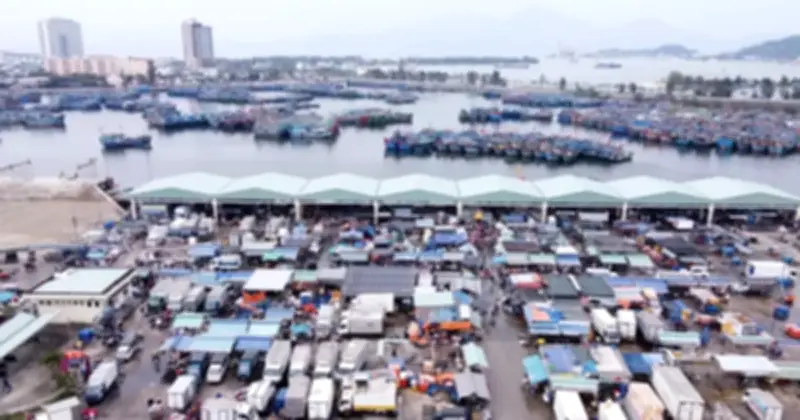 Đà Nẵng Thông Quan Quy Hoạch 2021-2030, Khẩn Trương Triển Khai 6 Dự Án Giao Thông Trọng Điểm