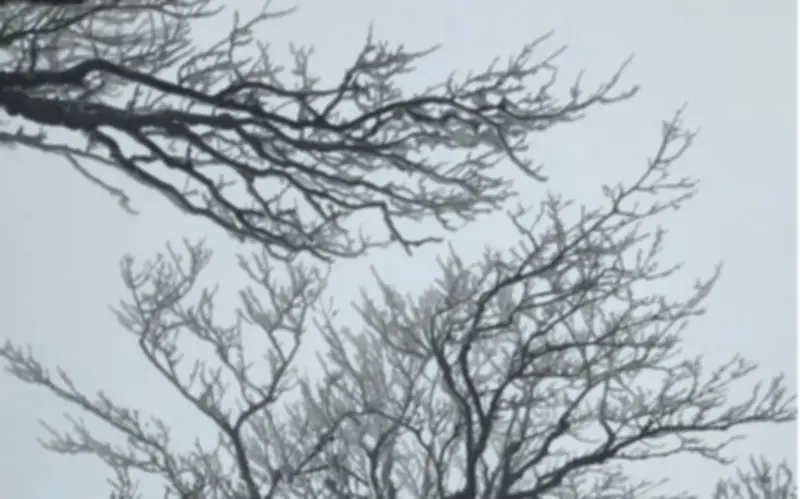 Miền Bắc tiếp tục rét đậm, nhiều khu vực có mưa nhỏ và sương mù