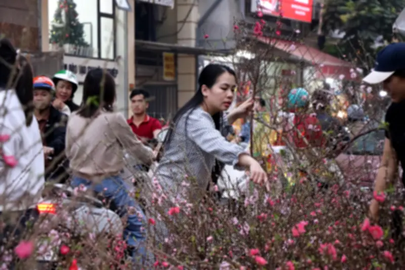 Đào Cành Mini 'Đắt Như Tôm Tươi' Trước Tết, Giá Rẻ Hợp Túi Tiền Khiến Dân Sài Gòn Săn Lùng