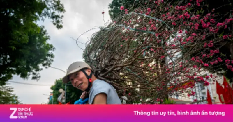 Đào, Quất Giảm Giá Sâu Trên 50%, Khách Hà Nội Đổ Xô Săn Hàng Cuối Năm