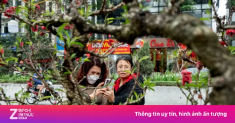 Đào Thất Thốn Trên Gỗ Lũa: 'Siêu Phẩm' Tết Giá Thuê Gần Nửa Tỷ Đồng Gây Sốt Hà Nội