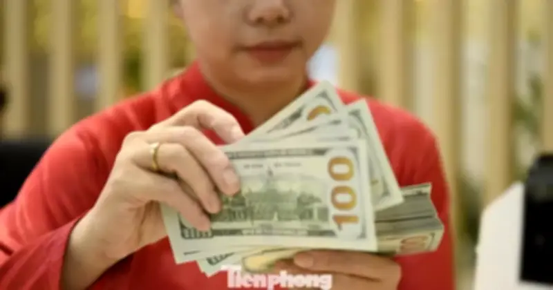 Áp lực tỷ giá giảm: USD hạ nhiệt, VNĐ được hỗ trợ từ chính sách Fed