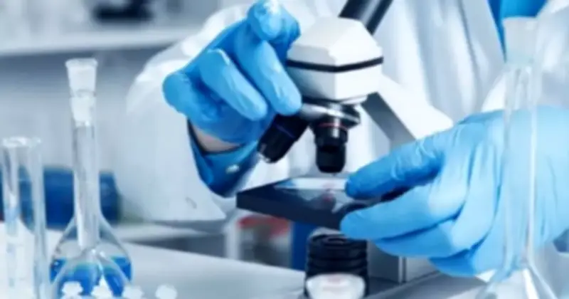 Giun lươn ký sinh giả ung thư dạ dày: Ca bệnh hiếm gặp tại TP.HCM