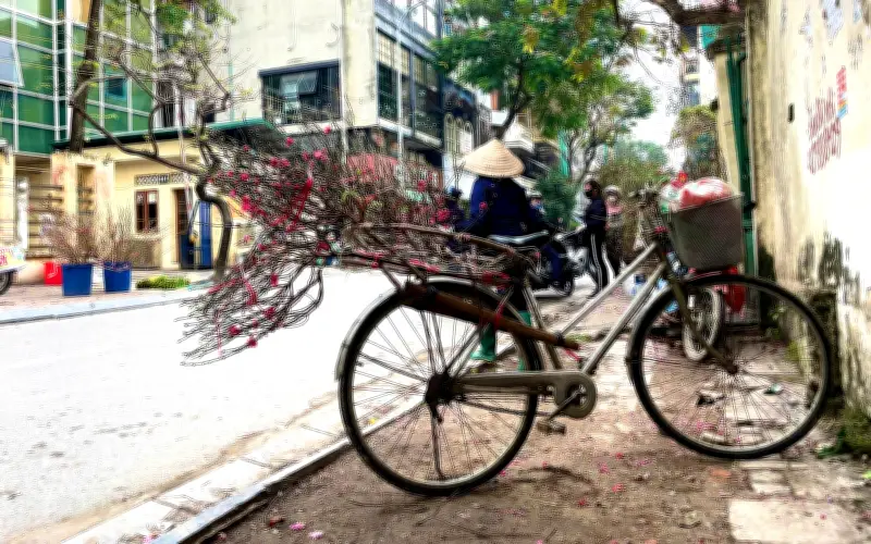 Hoa đào bán rong len lỏi phố Hà Nội, gần hết sau một ngày rong ruổi