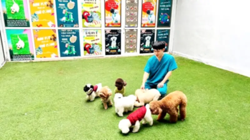 Thị Trường Dịch Vụ Thú Cưng Bùng Nổ: Từ Khách Sạn Đến Chăm Sóc Tại Nhà