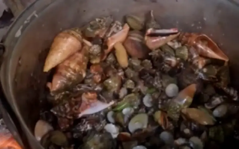 Phụ nữ Philippines tử vong sau khi ăn cua quỷ độc trong chuyến câu cá