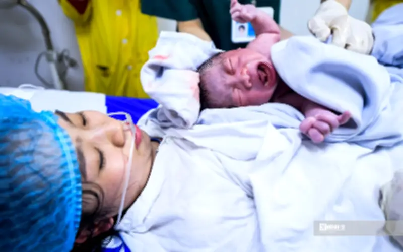 Phó Thủ tướng Lê Thành Long phê duyệt Chương trình Bảo đảm mức sinh thay thế đến năm 2030