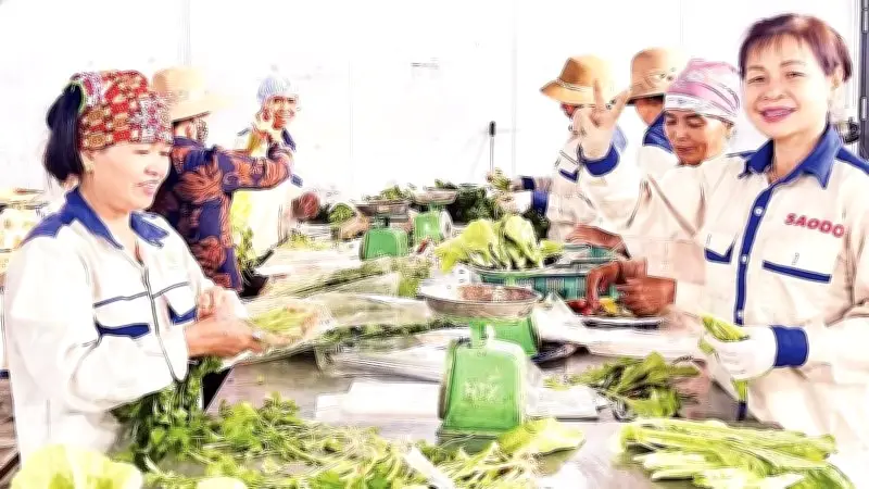 Phú Thọ đẩy mạnh chuyển đổi số nông nghiệp, nâng cao giá trị và mở rộng thị trường