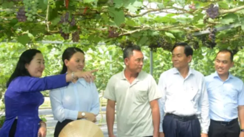 Phước Mỹ Trung: Điểm đến du lịch sinh thái, lịch sử và làng nghề đầy tiềm năng