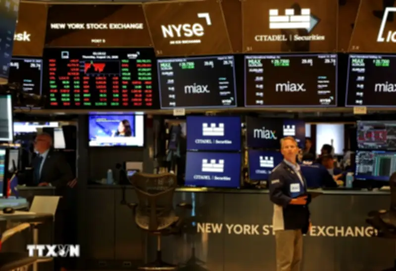 Phiên Giao Dịch Tối Tệ Của Nvidia Kéo Lùi Thị Trường Chứng Khoán Mỹ