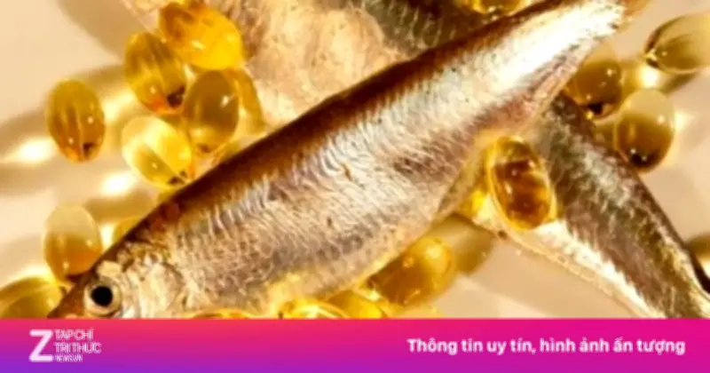 Phân Biệt Dầu Cá Và Omega-3: Hiểu Đúng Để Bổ Sung Hiệu Quả Cho Sức Khỏe