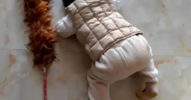 Phản Ứng Khi Bị Đòn Thời Thơ Ấu Tiết Lộ ự Khác Biệt Lớn Về Năng Lực Và Tâm Lý