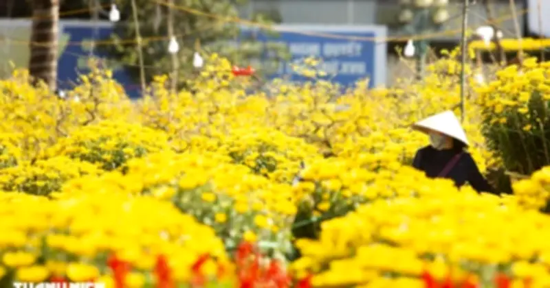 Phường Nam Đông Hà rực rỡ cờ hoa chào mừng 96 năm thành lập Đảng và xuân Bính Ngọ 2026