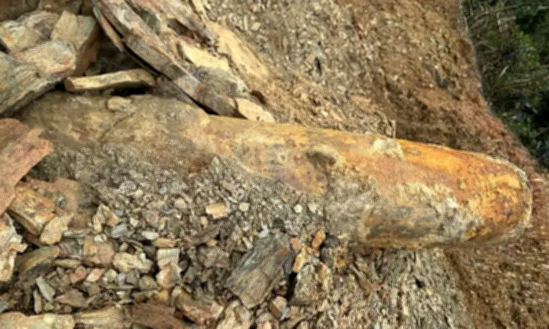 Phát Hiện Bom 250 Kg Khi Đào Móng Nhà Tại Nghệ An, Được Di Chuyển An Toàn